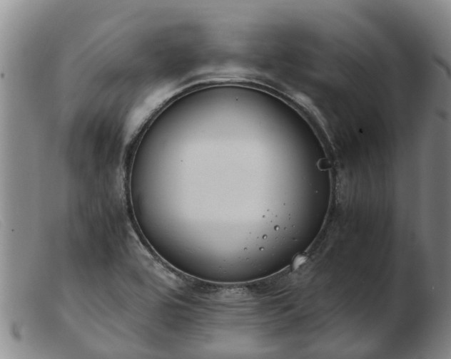 X0000103411464200809191534