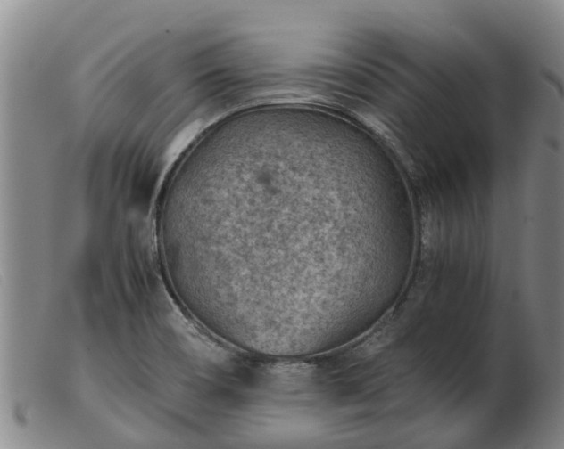 X0000103411466200809191534