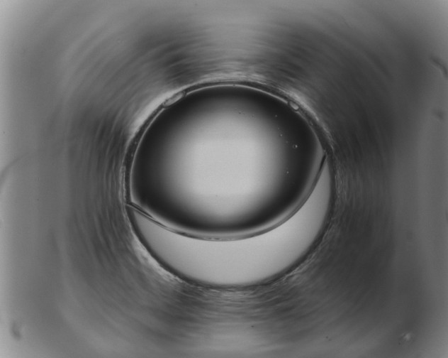 X0000103411468200809191534