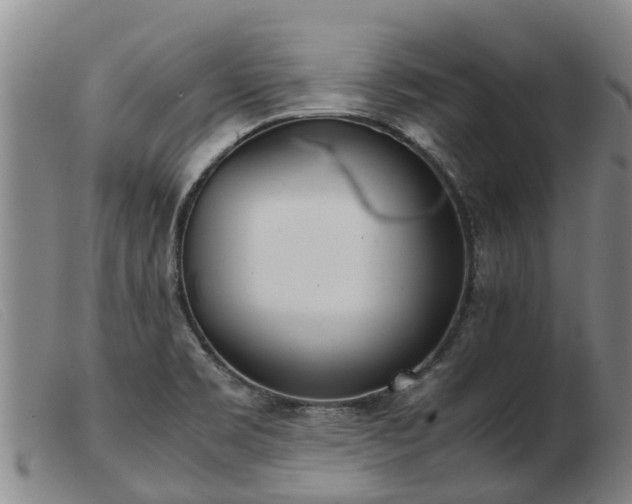 X0000103411469200809191534