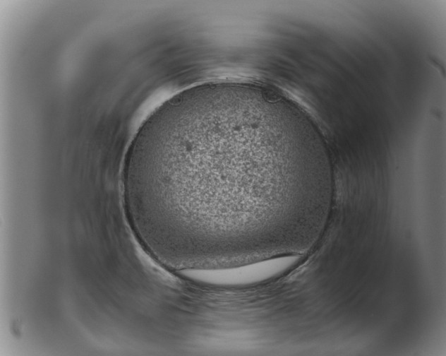 X0000103411471200809191534