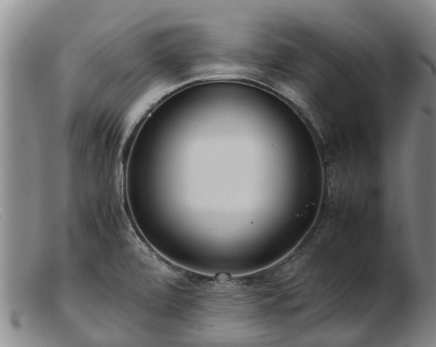 X0000103411472200809191534