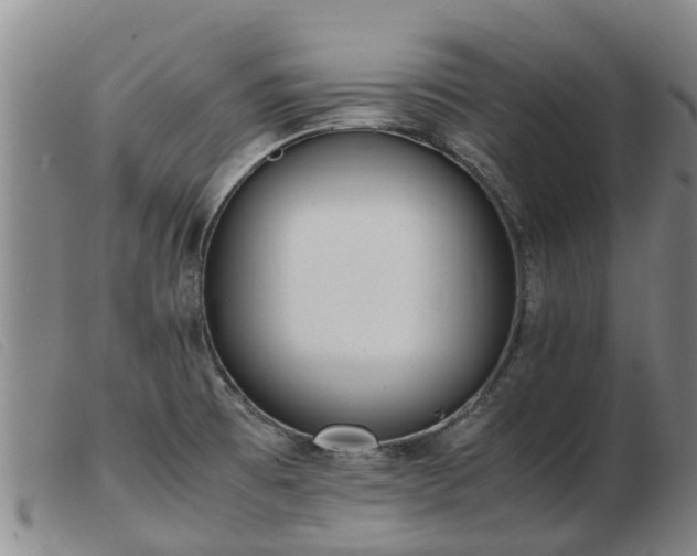 X0000103411473200809191533