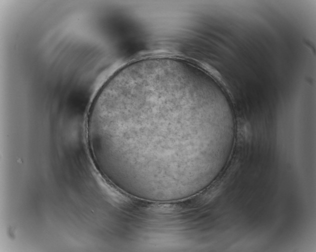 X0000103411474200809191533