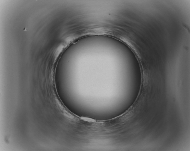 X0000103411477200809191533