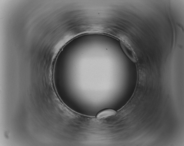 X0000103411480200809191533