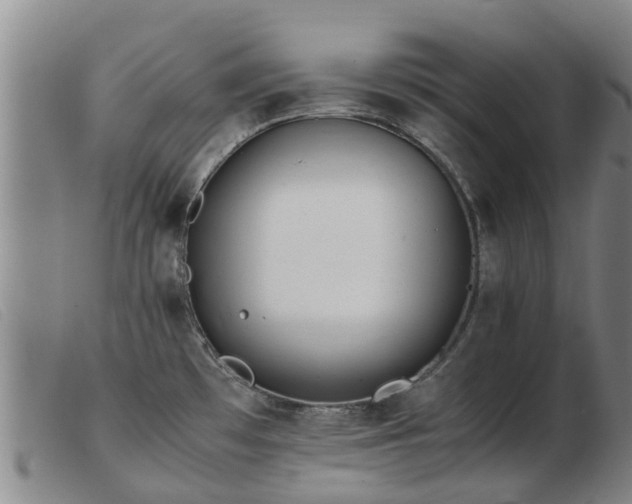 X0000103411481200809191533