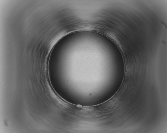 X0000103411483200809191533