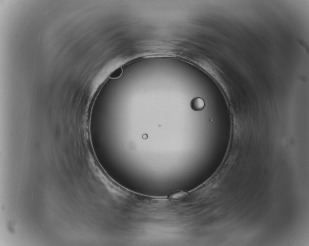 X0000103411485200809191533