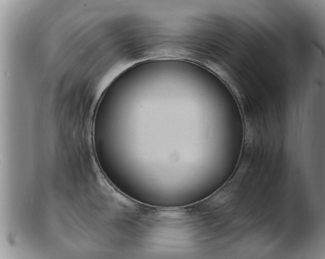 X0000103411486200809191533