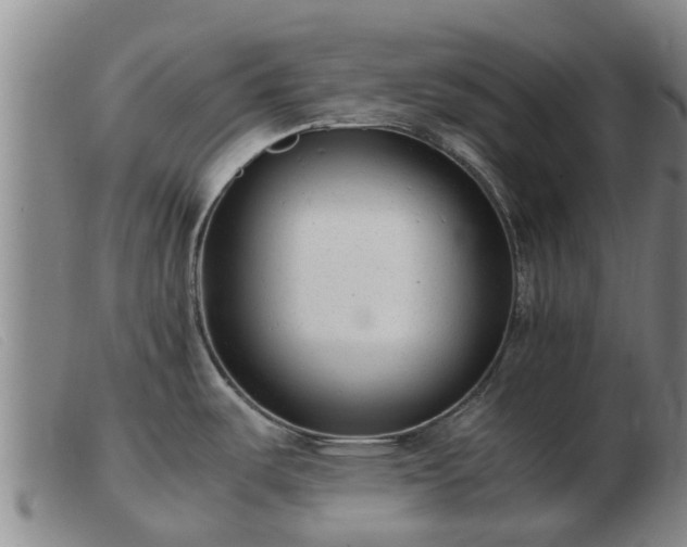 X0000103411487200809191533