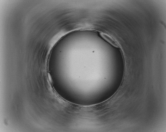 X0000103411488200809191533