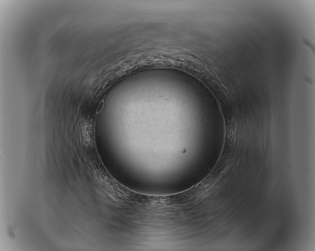 X0000103411490200809191533