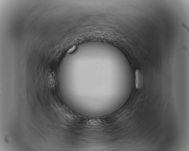 X0000103411491200809191533