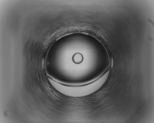 X0000103411492200809191533