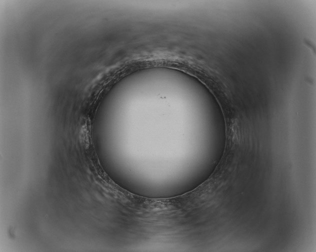 X0000103411493200809191533