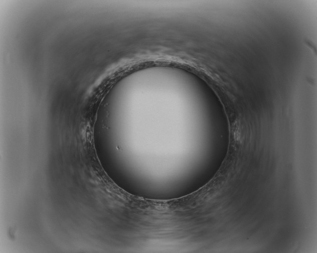 X0000103411495200809191533