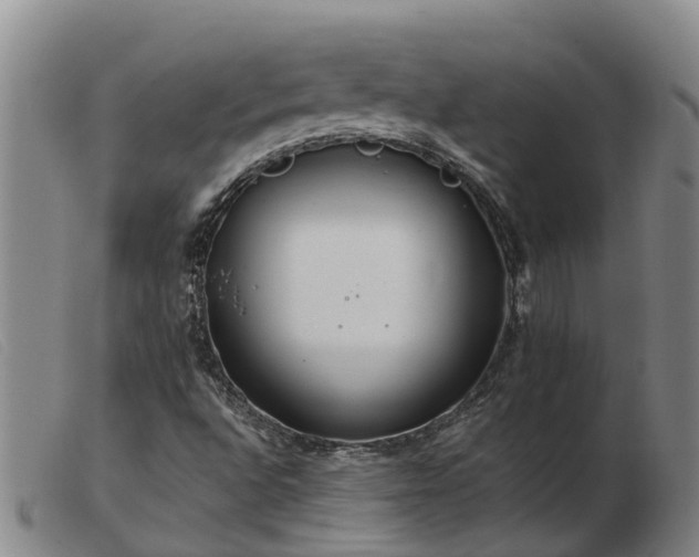 X0000103411496200809191533