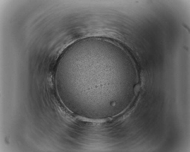 X0000103411497200809191533