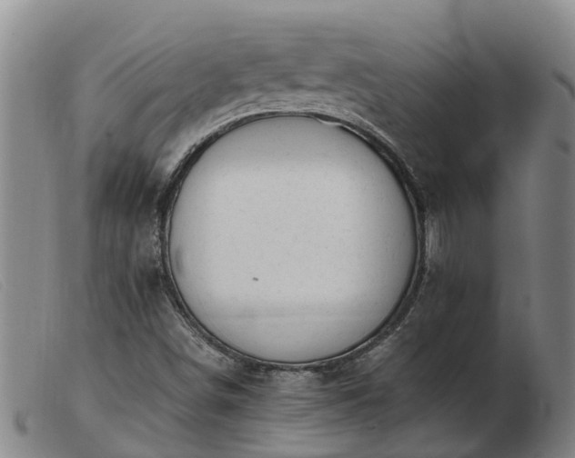 X0000103411498200809191533