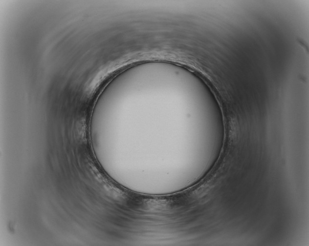 X0000103411499200809191533