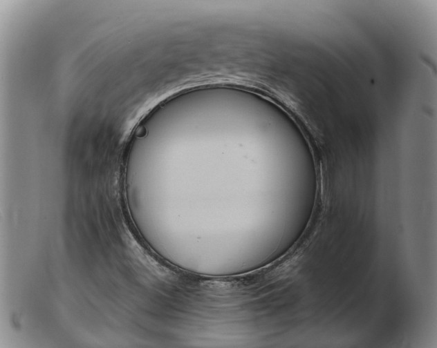 X0000103411500200809191533