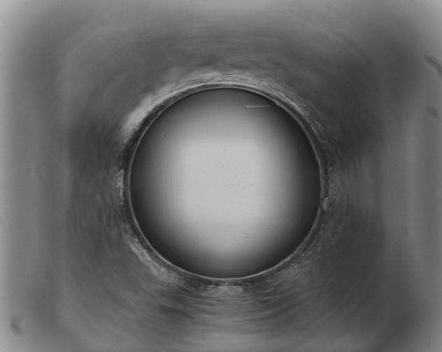 X0000103411503200809191533