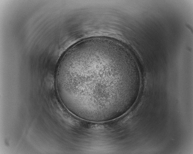 X0000103411505200809191533