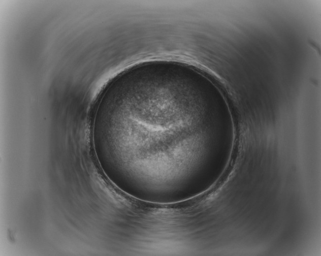 X0000103411506200809191533