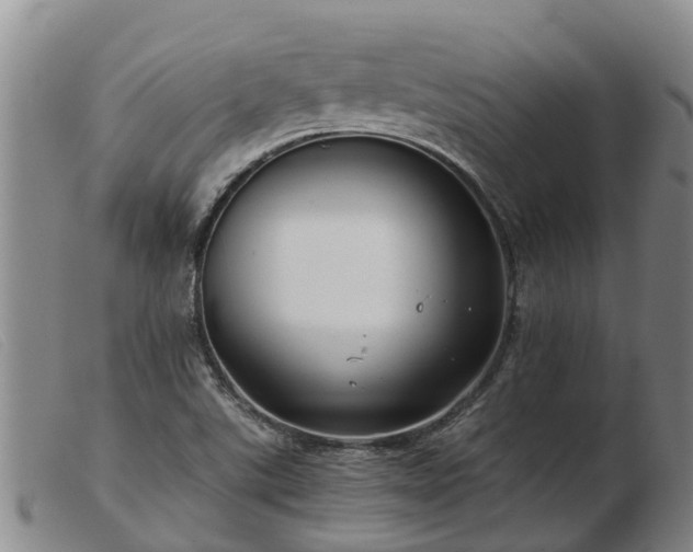 X0000103411507200809191533