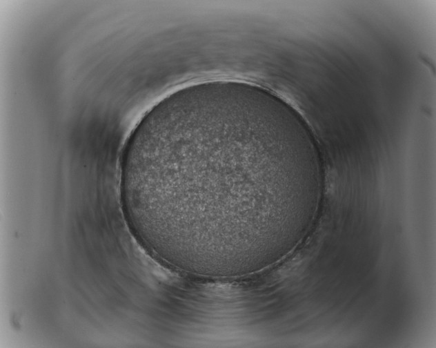 X0000103411508200809191533