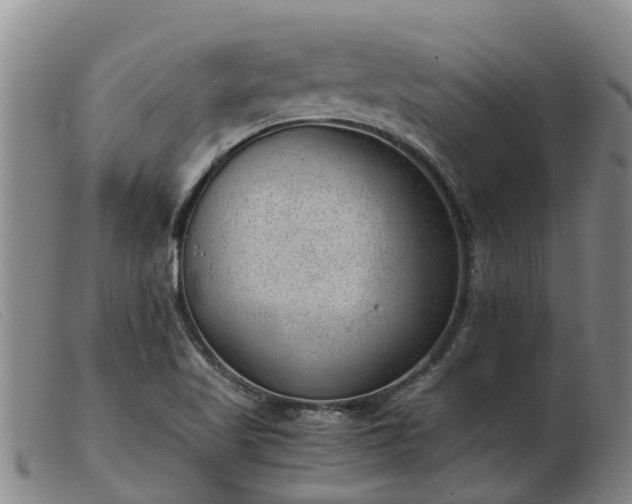 X0000103411509200809191533