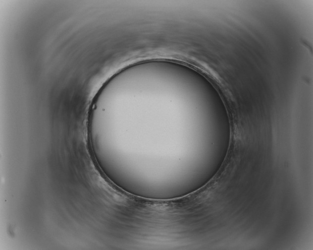 X0000103411512200809191533