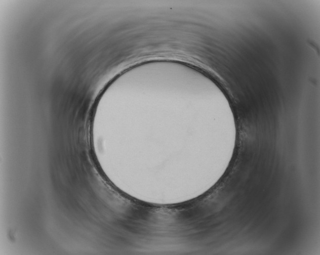 X0000103411514200809191533