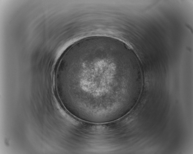 X0000103411515200809191533