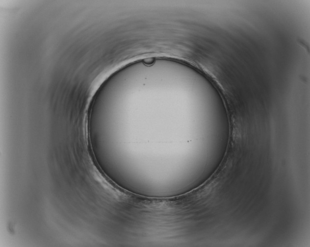 X0000103411516200809191533