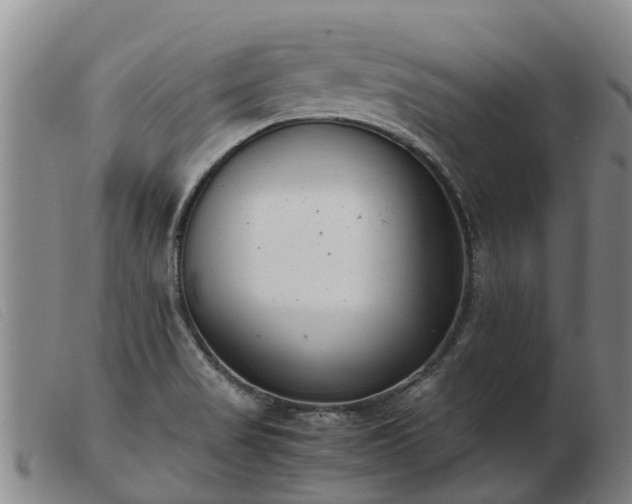 X0000103411517200809191533