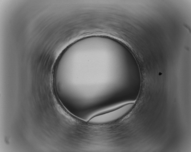 X0000103411518200809191533