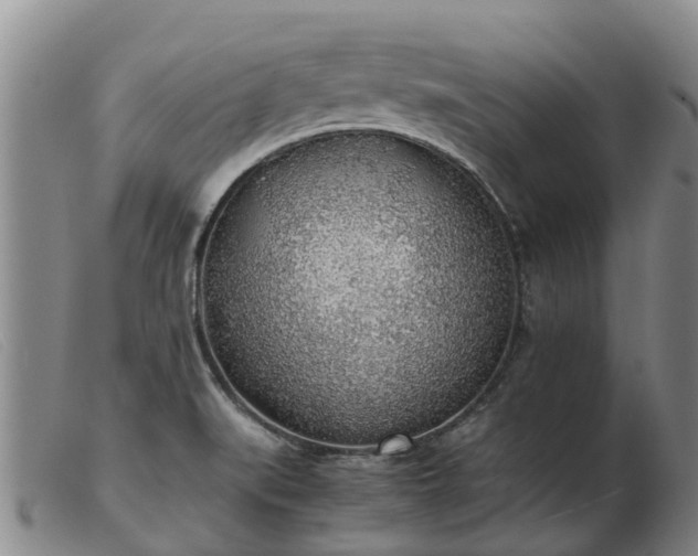 X0000103411519200809191533