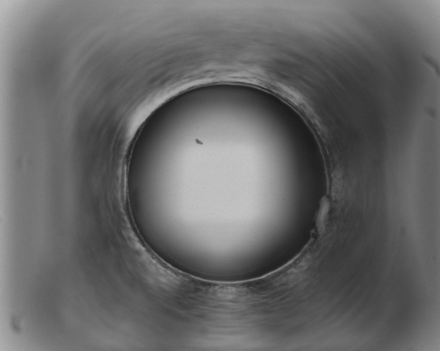 X0000103411520200809191533