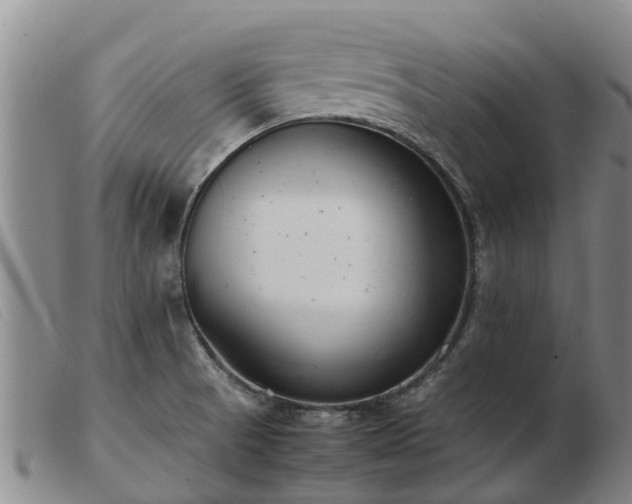 X0000103411521200809191533