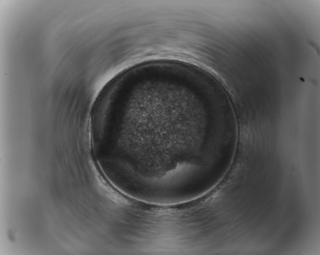 X0000103411522200809191533