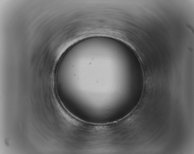 X0000103411523200809191533