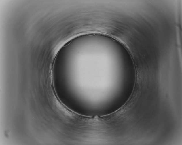 X0000103411524200809191533