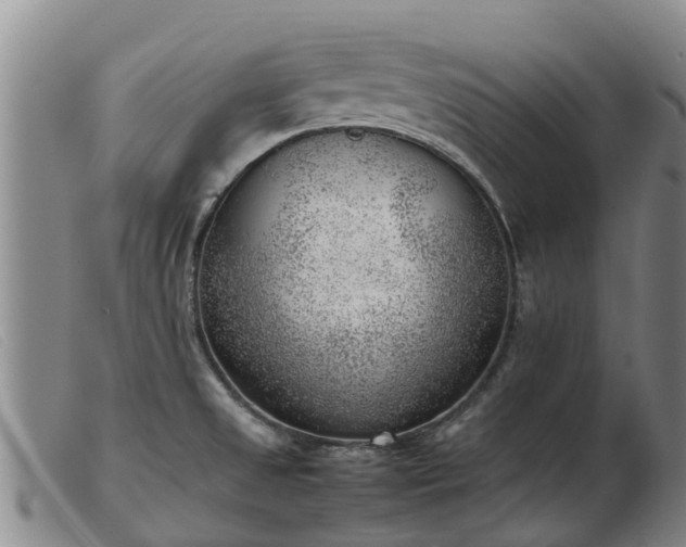 X0000103411525200809191533