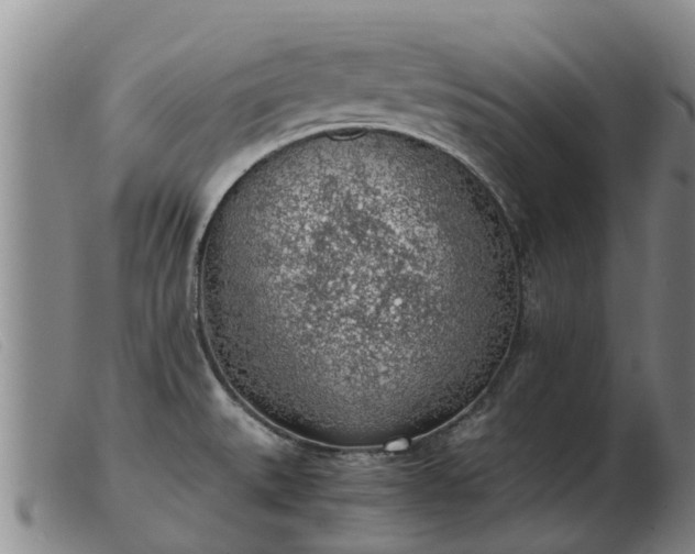 X0000103411527200809191533