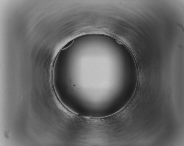 X0000103411528200809191533