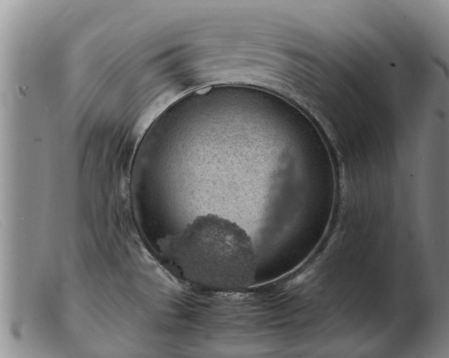 X0000103411529200809191533