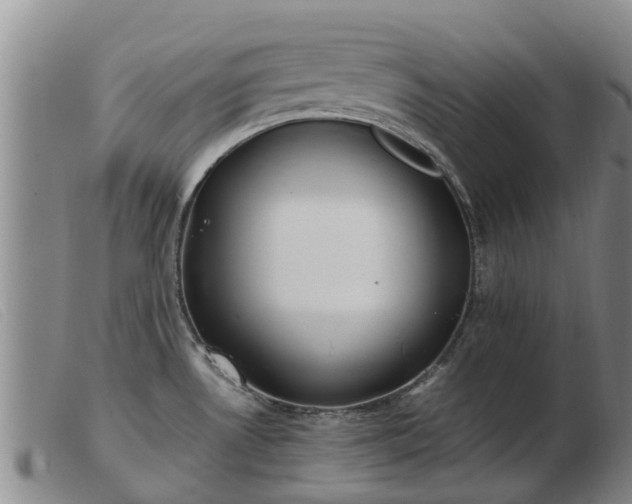 X0000103411530200809191533