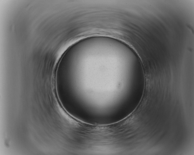 X0000103411531200809191533